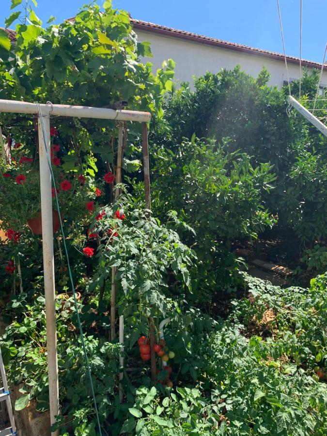 Apartman Taverna Coctel *