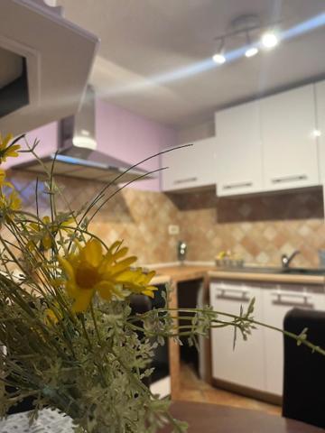 Taverna Coctel Porec